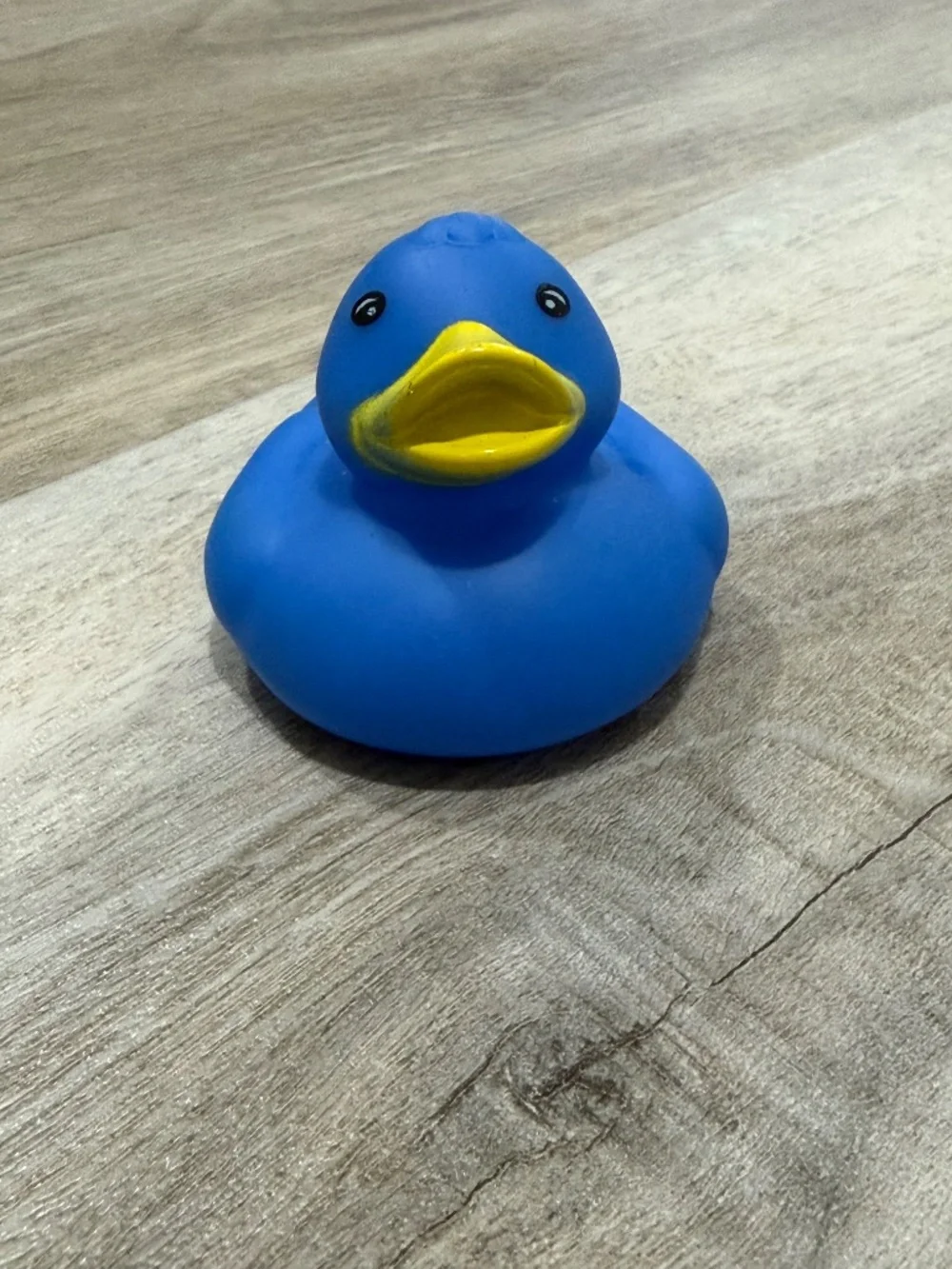 Lot of 8 Assorted Rubber Ducks Character Sports Cow Blue Red Yellow